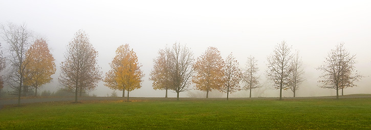 Pantops Mountain Panorama in Fog, Albemarle County, VA